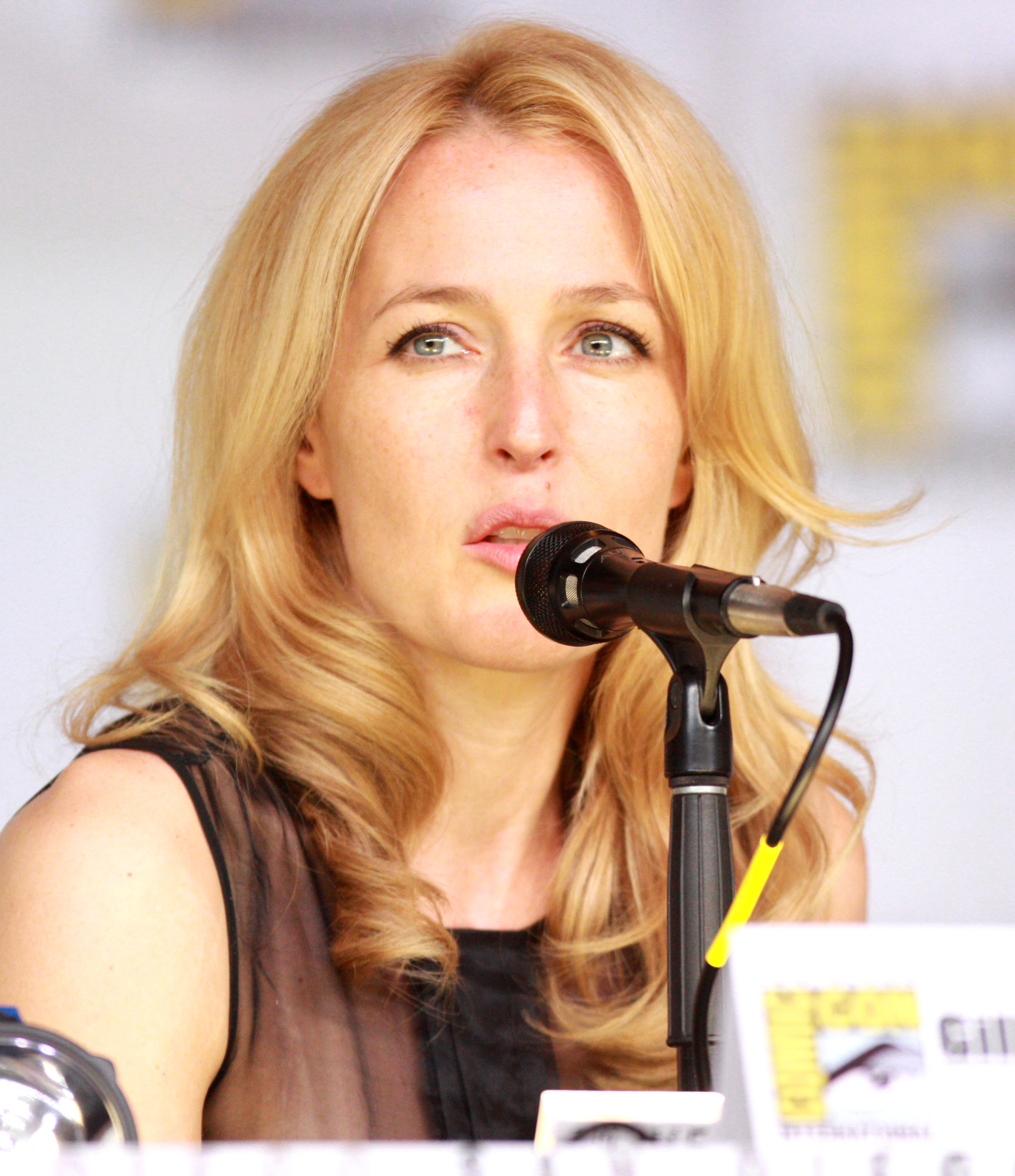 Gillian Anderson 394